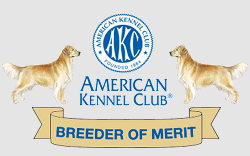 Florida's only Golden Breeder of Merit